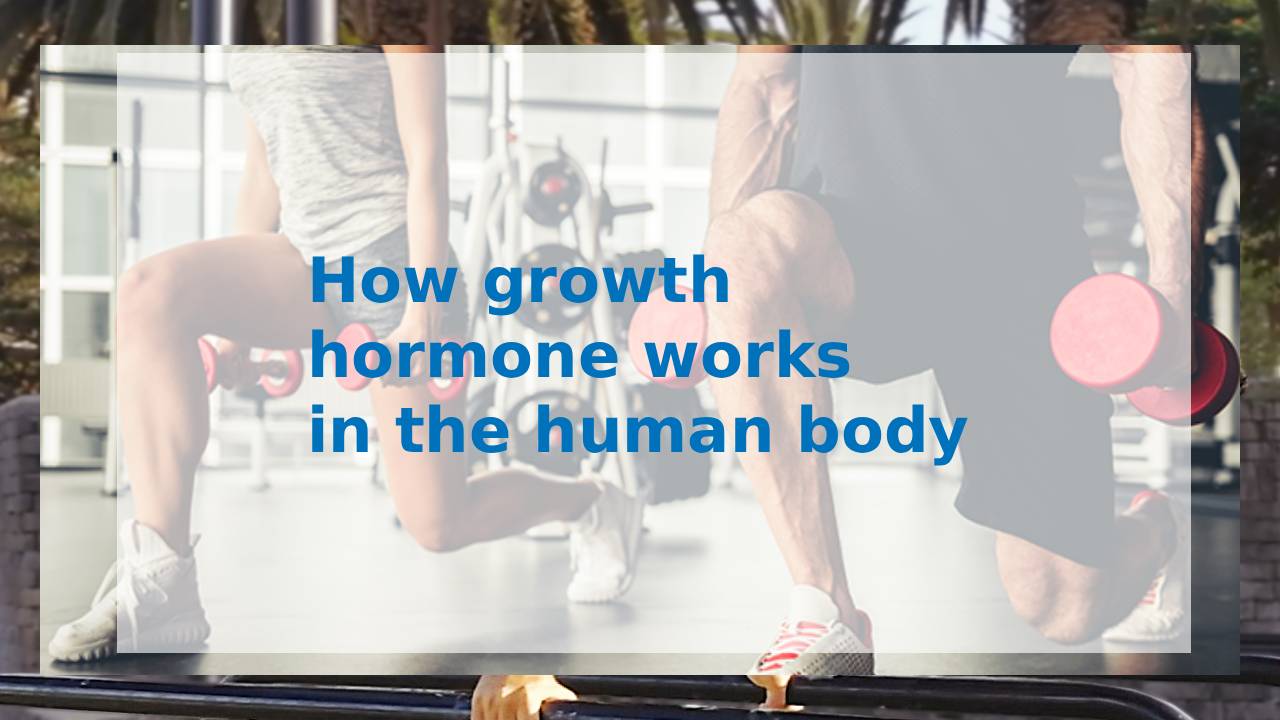 How Growth Hormone Works in the Human Body